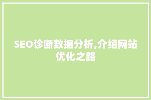 SEO诊断数据分析,介绍网站优化之路
