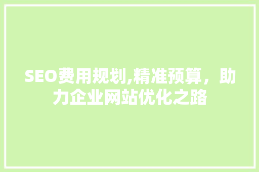 SEO费用规划,精准预算，助力企业网站优化之路