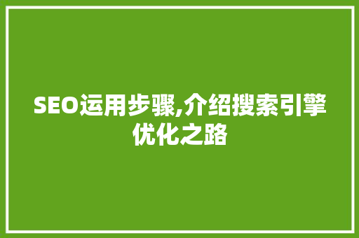 SEO运用步骤,介绍搜索引擎优化之路 网站开发