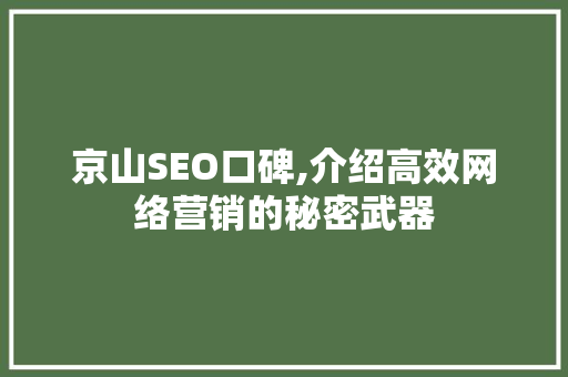 京山SEO口碑,介绍高效网络营销的秘密武器