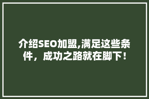 介绍SEO加盟,满足这些条件，成功之路就在脚下！