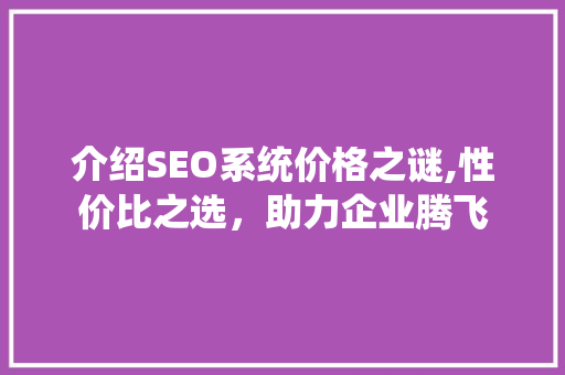 介绍SEO系统价格之谜,性价比之选，助力企业腾飞