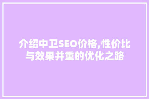 介绍中卫SEO价格,性价比与效果并重的优化之路 网站优化