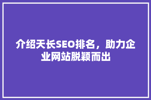 介绍天长SEO排名，助力企业网站脱颖而出