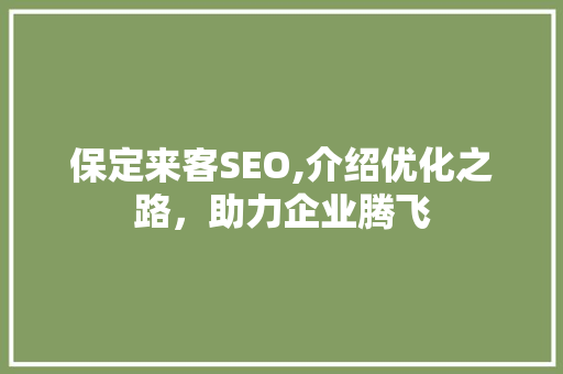 保定来客SEO,介绍优化之路，助力企业腾飞