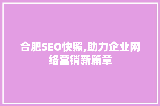 合肥SEO快照,助力企业网络营销新篇章