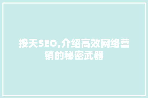 按天SEO,介绍高效网络营销的秘密武器