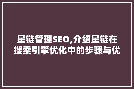 星链管理SEO,介绍星链在搜索引擎优化中的步骤与优势