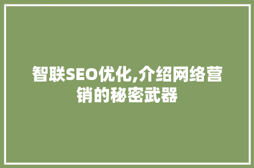 智联SEO优化,介绍网络营销的秘密武器