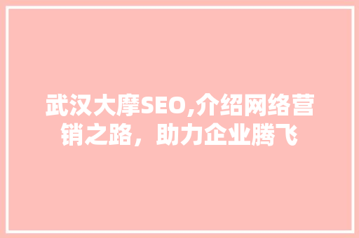 武汉大摩SEO,介绍网络营销之路，助力企业腾飞