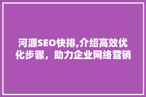 河源SEO快排,介绍高效优化步骤，助力企业网络营销腾飞