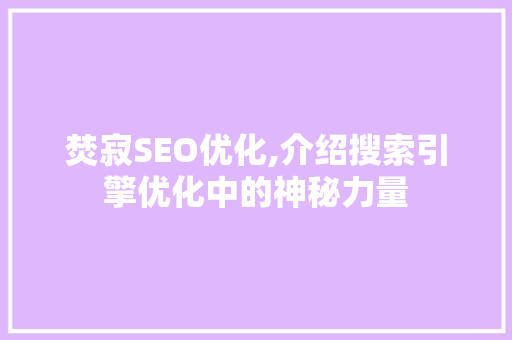焚寂SEO优化,介绍搜索引擎优化中的神秘力量