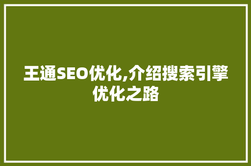王通SEO优化,介绍搜索引擎优化之路