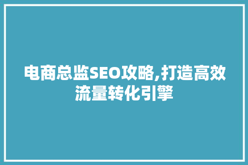 电商总监SEO攻略,打造高效流量转化引擎