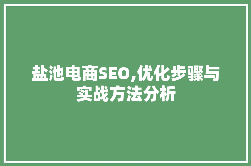 盐池电商SEO,优化步骤与实战方法分析