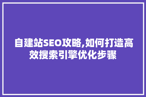 自建站SEO攻略,如何打造高效搜索引擎优化步骤 网站优化