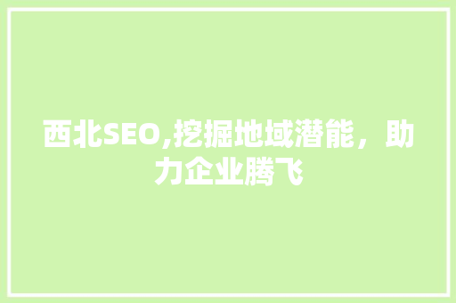 西北SEO,挖掘地域潜能，助力企业腾飞 网站优化
