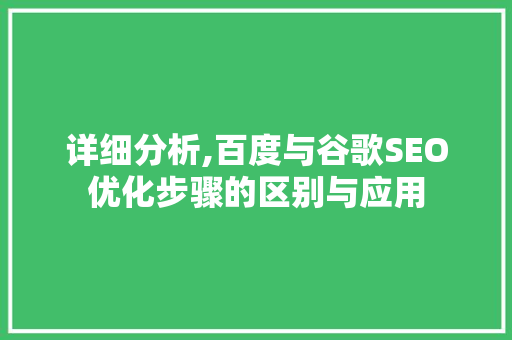 详细分析,百度与谷歌SEO优化步骤的区别与应用