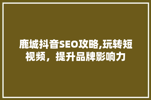 鹿城抖音SEO攻略,玩转短视频，提升品牌影响力