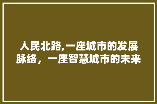 人民北路,一座城市的发展脉络，一座智慧城市的未来展望