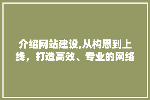 介绍网站建设,从构思到上线，打造高效、专业的网络平台