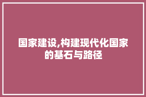 国家建设,构建现代化国家的基石与路径