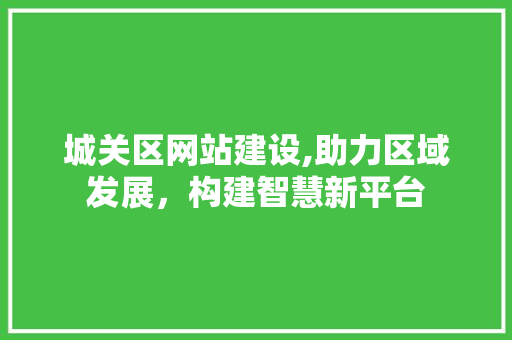城关区网站建设,助力区域发展，构建智慧新平台