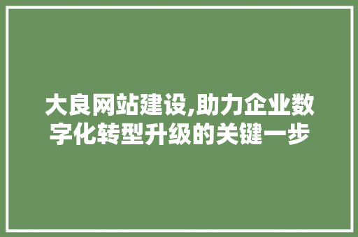 大良网站建设,助力企业数字化转型升级的关键一步