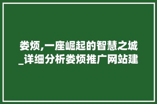 娄烦,一座崛起的智慧之城_详细分析娄烦推广网站建设之路