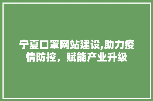 宁夏口罩网站建设,助力疫情防控，赋能产业升级 网站优化