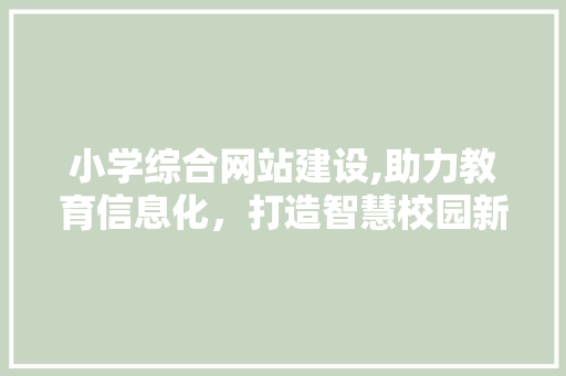 小学综合网站建设,助力教育信息化，打造智慧校园新篇章