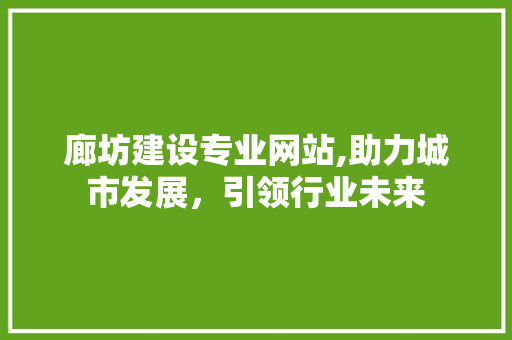 廊坊建设专业网站,助力城市发展，引领行业未来