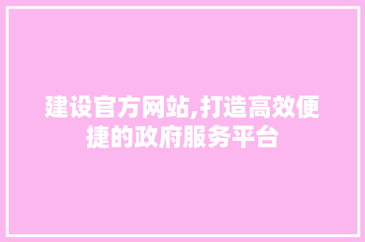 建设官方网站,打造高效便捷的政府服务平台