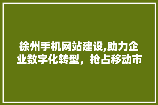 徐州手机网站建设,助力企业数字化转型，抢占移动市场先机