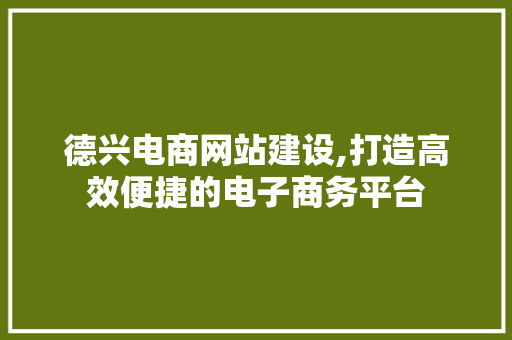 德兴电商网站建设,打造高效便捷的电子商务平台 搜狗优化