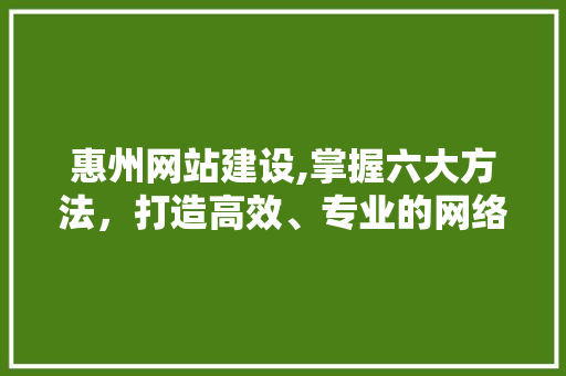惠州网站建设,掌握六大方法，打造高效、专业的网络平台 网站开发