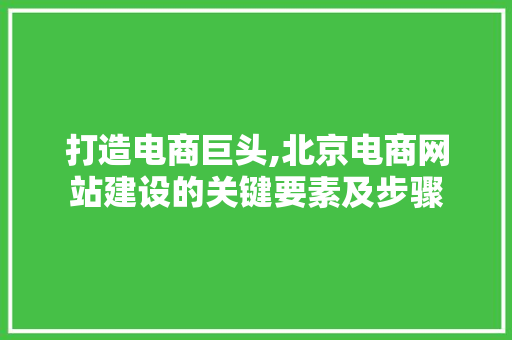 打造电商巨头,北京电商网站建设的关键要素及步骤 360搜优化