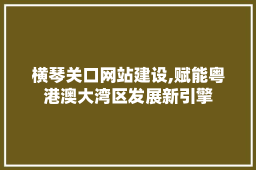 横琴关口网站建设,赋能粤港澳大湾区发展新引擎