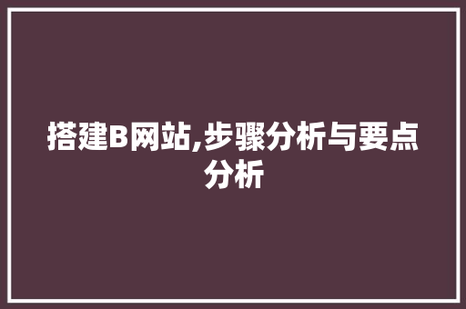 搭建B网站,步骤分析与要点分析 搭建B网站,步骤分析与要点分析 小程序开发