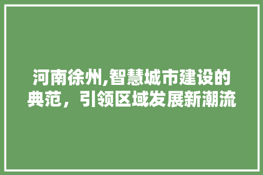 河南徐州,智慧城市建设的典范，引领区域发展新潮流