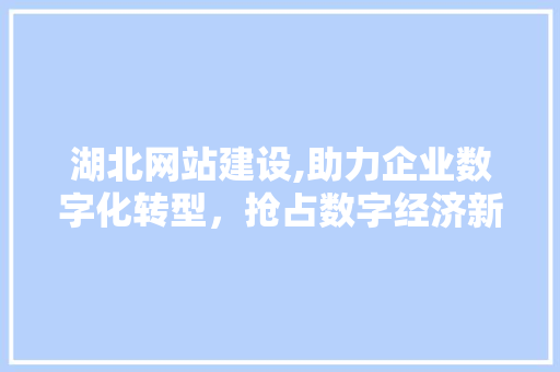 湖北网站建设,助力企业数字化转型，抢占数字经济新机遇