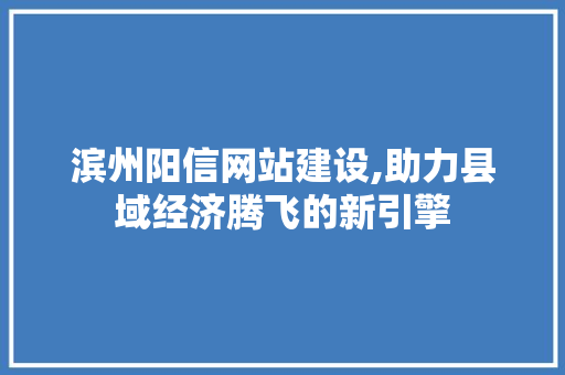 滨州阳信网站建设,助力县域经济腾飞的新引擎