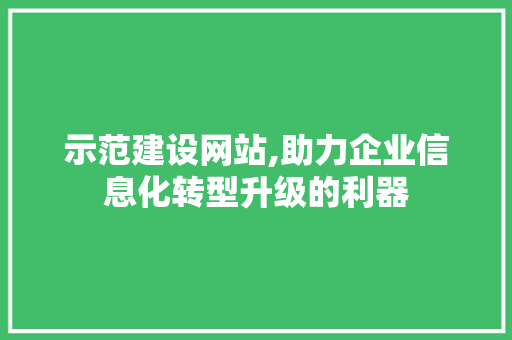 示范建设网站,助力企业信息化转型升级的利器