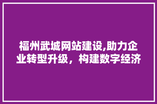 福州武城网站建设,助力企业转型升级，构建数字经济新生态