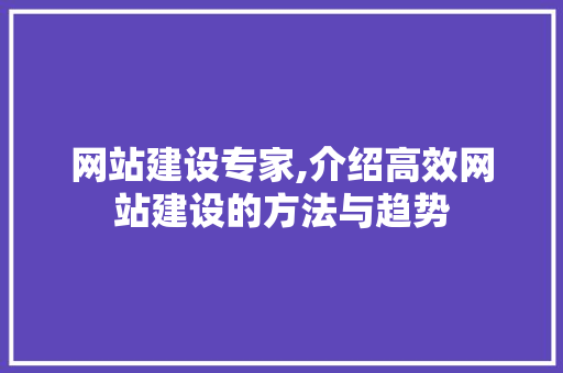 网站建设专家,介绍高效网站建设的方法与趋势