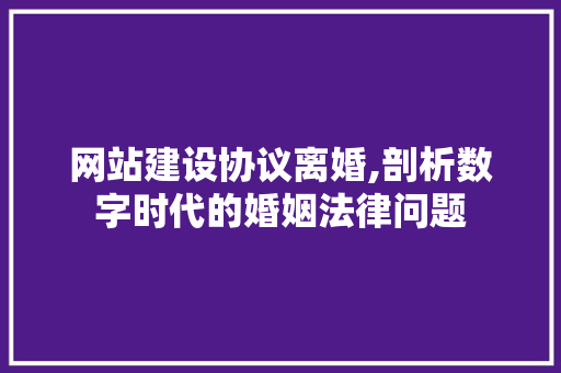 网站建设协议离婚,剖析数字时代的婚姻法律问题