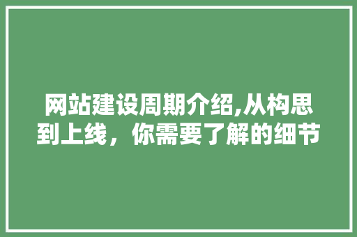 网站建设周期介绍,从构思到上线，你需要了解的细节