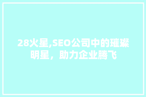 28火星,SEO公司中的璀璨明星，助力企业腾飞