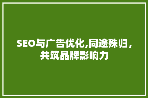 SEO与广告优化,同途殊归，共筑品牌影响力 网站优化