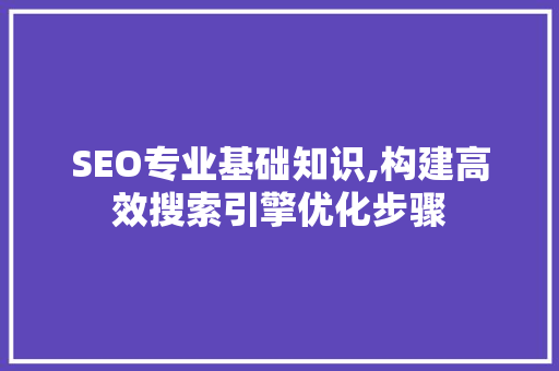 SEO专业基础知识,构建高效搜索引擎优化步骤 百度算法